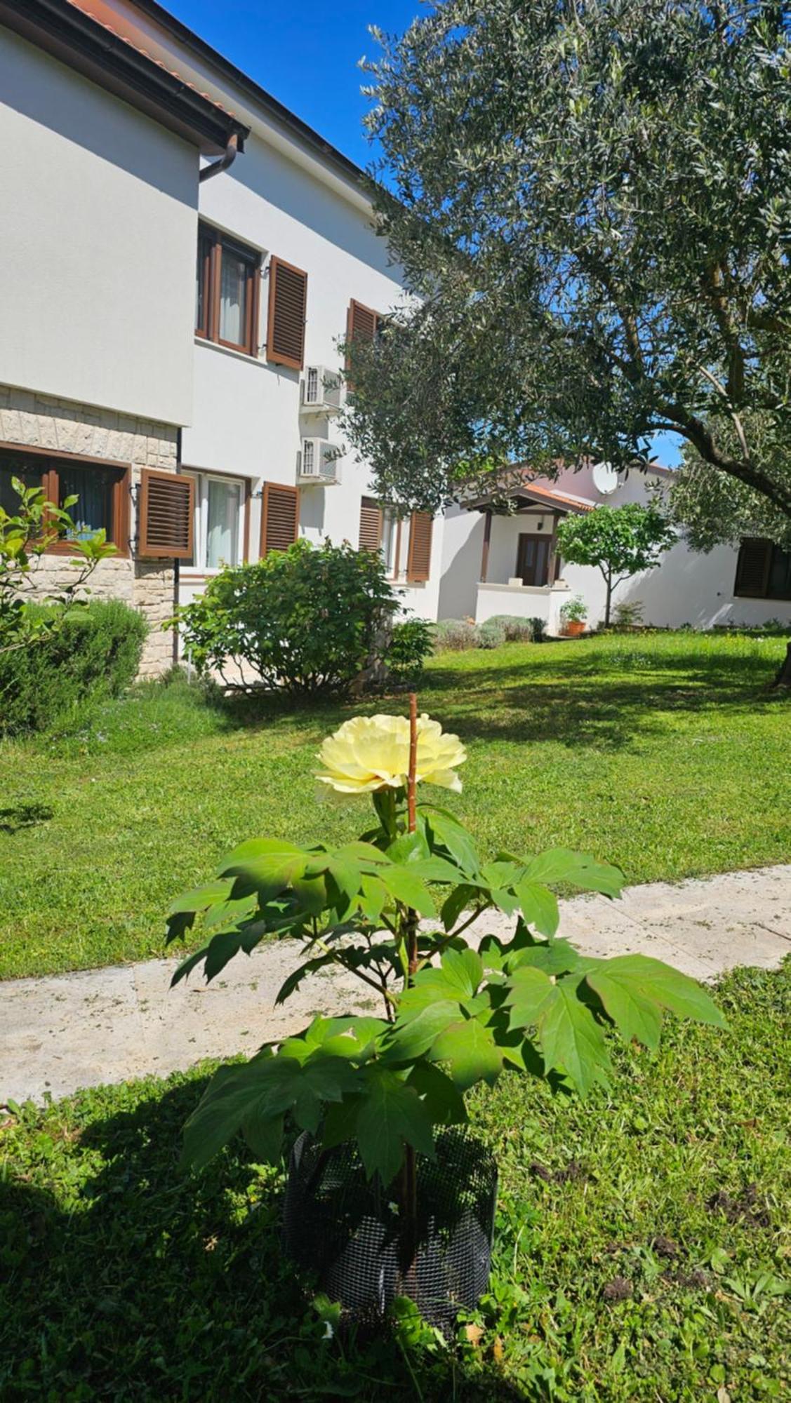 Apartments Dina Pula Ngoại thất bức ảnh